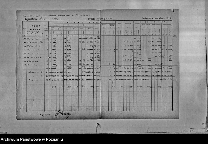 Obraz 20 z jednostki "/Statystyka produkcji rolnej - zestawienie powiatowe - Śmigiel"
