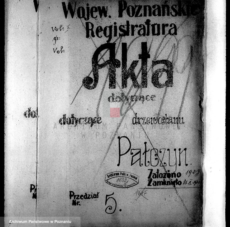 Obraz 4 z jednostki "Drzewostan majętności Pałczyn"