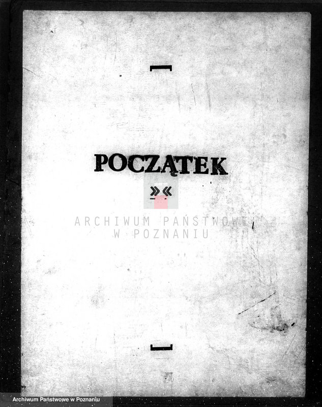 Obraz 3 z jednostki "Nadzór nad gospodarką w lasach majątku Czerniejewo powiecie gnieźnieńskim"