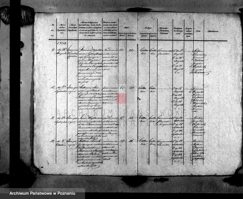 image.from.unit.number "Metrices copulatorum"