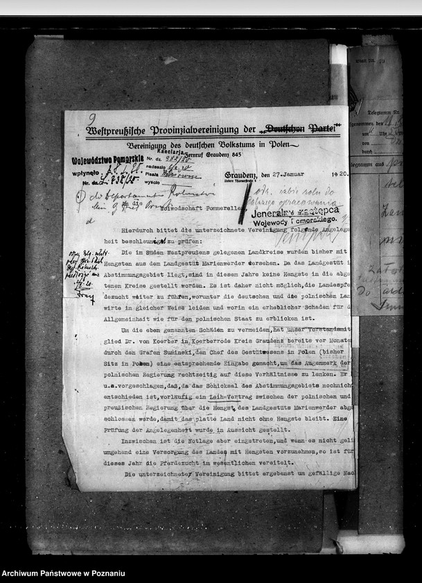 Obraz 13 z jednostki "Zarząd Stadnin Starogard"