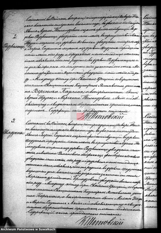 image.from.unit.number "Duplikat aktov rodivšichsja, umeršich i brakosočetavšichsja vejsejskogo rimsko-katoličeskogo prichoda na 1878 god"