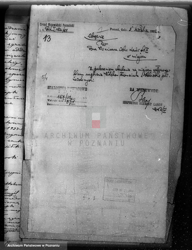 Obraz 17 z jednostki "/Nadzór nad gospodarką w lasach majątku Lubień-Helowskie w powiecie nowotomyskim"