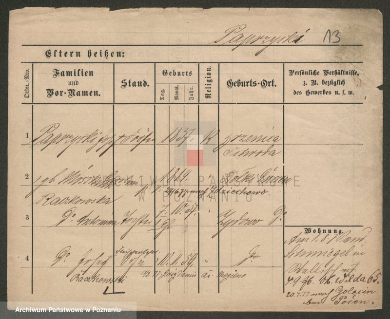 Obraz 13 z jednostki "Paprzycki - Pasiak"