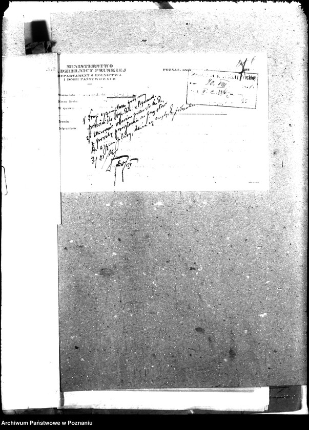 Obraz 11 z jednostki "Weterynaria"