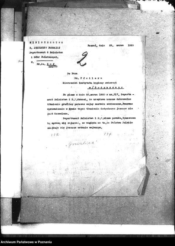 Obraz 6 z jednostki "Gruźlica"