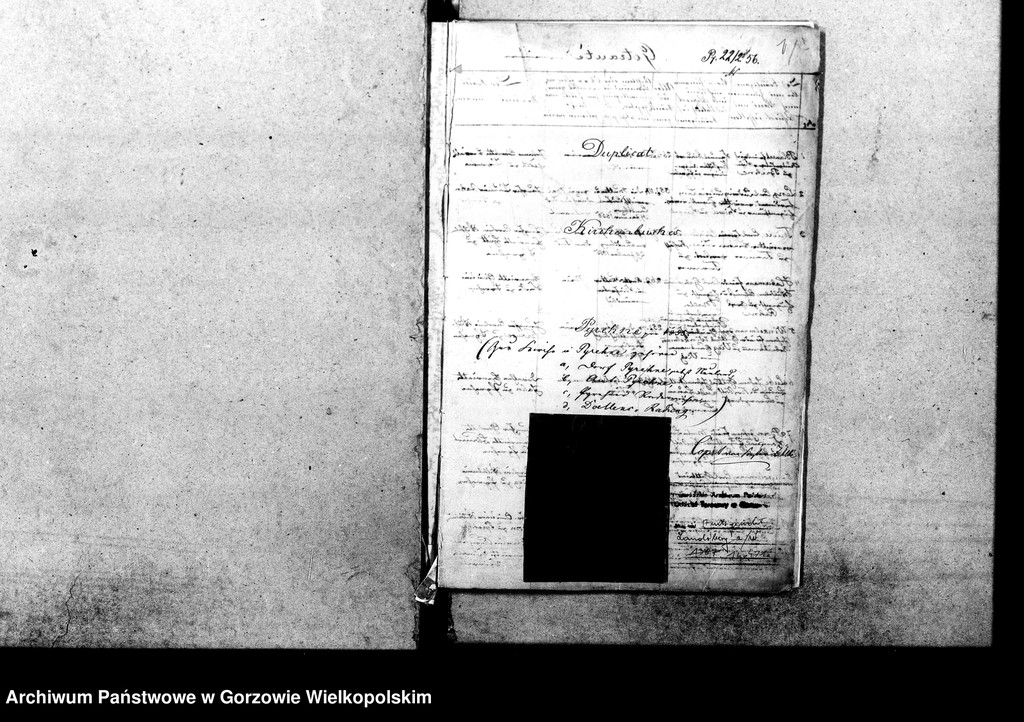 image.from.unit.number "Duplikate der Kirchenbücher von Pyrehne: Pyrehne (Pyrzany), Pyrehne Radewiese, Döllensradung (Nowiny Wielkie), Fichtwerder (Świerkocin), Hopfenbruch (Chmieliniec), Balz (Białcz), Kleinheide (Pszczelnik)"