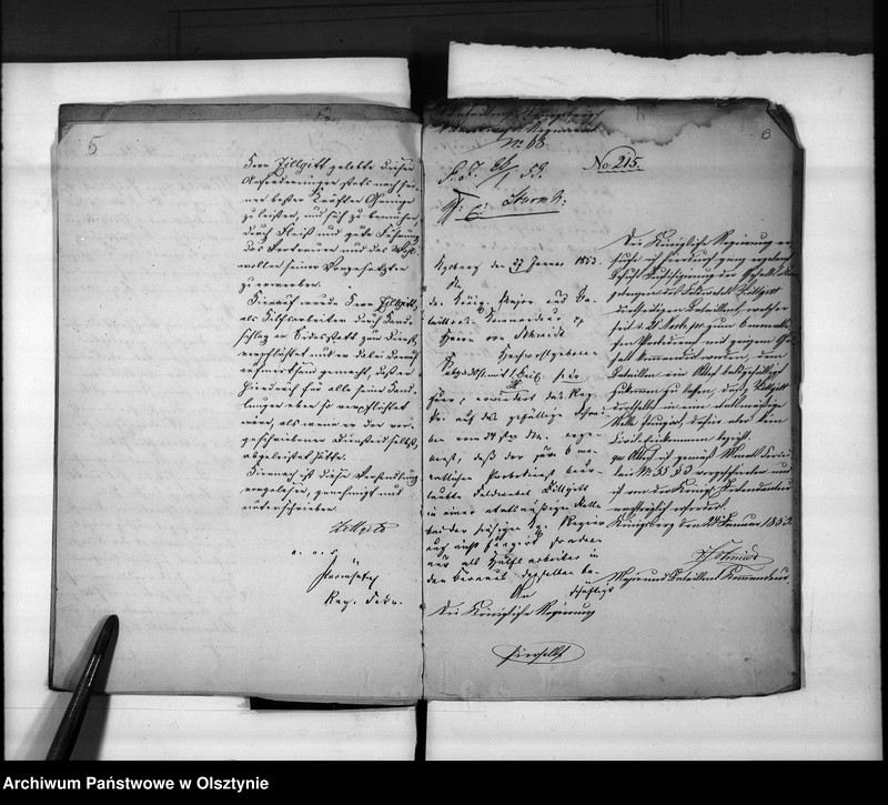 image.from.unit.number "Anstellung des Bezirks-Feldwebels Zillgitt [Friedrich August]"