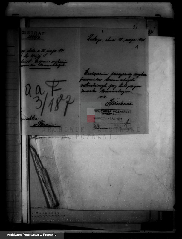 Obraz 5 z jednostki "Urzędnicy Komunalni miasta Kostrzyna"