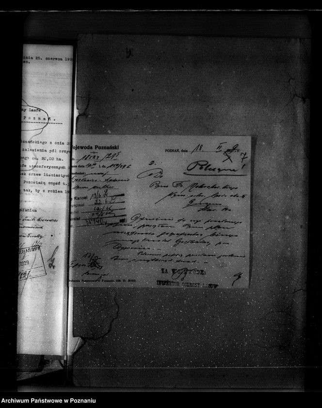 Obraz 11 z jednostki "Majętność leśna Czesławice powiat wągrowiecki własność Koerner"