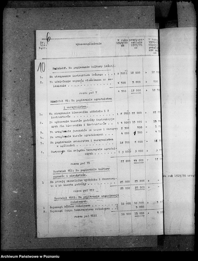 Obraz 14 z jednostki "Budżet Wielkopolskiej Izby Rolniczej na rok 1921"