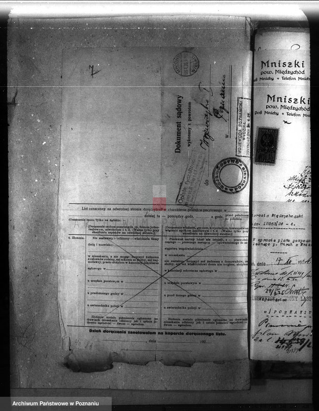 Obraz 11 z jednostki "Majętność leśna Mniszki w powiecie międzychodzkim"