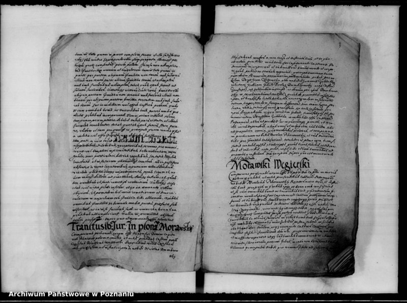 Obraz 6 z jednostki "Inscriptiones, relationes [inducta]"