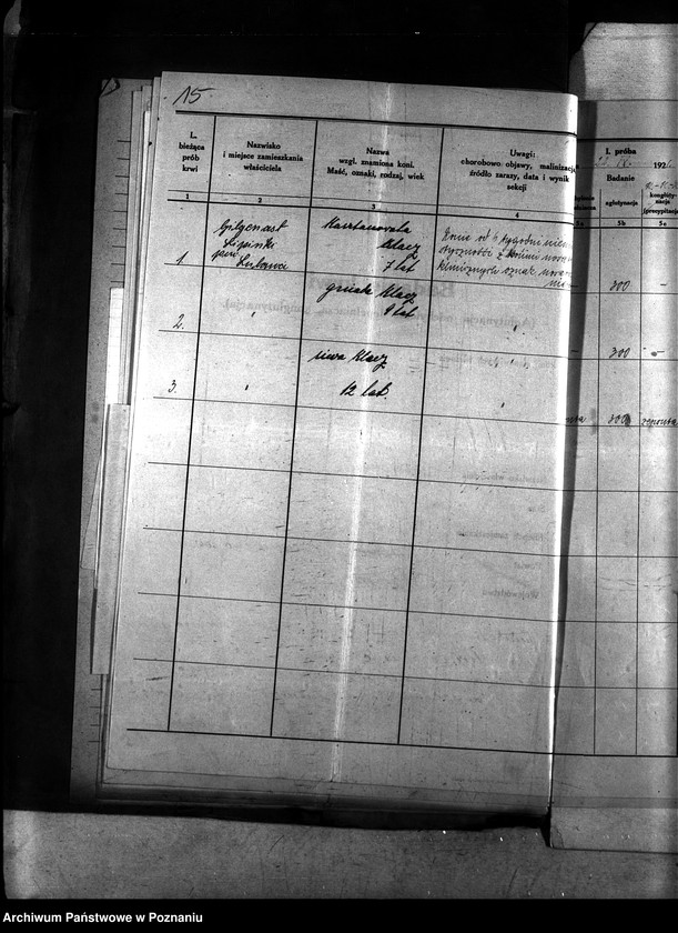 Obraz 19 z jednostki "Nosacizna - Lubawa"