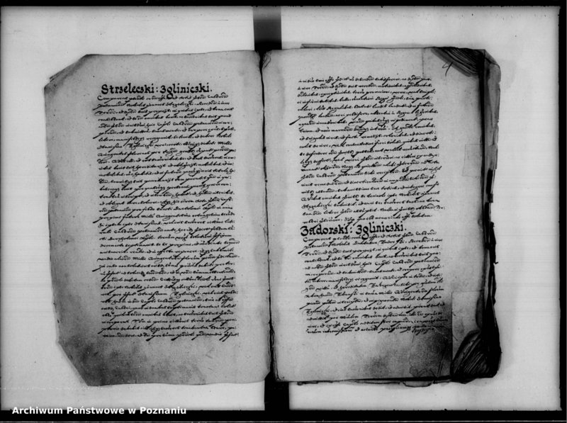 Obraz 8 z jednostki "Inscriptiones, relationes [inducta]"