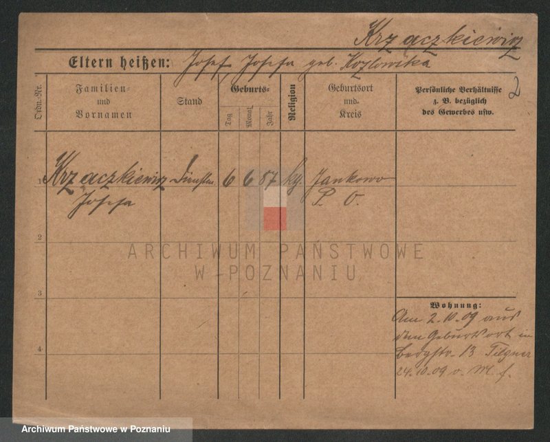 Obraz 2 z jednostki "Krzaczek - Krzyślak"