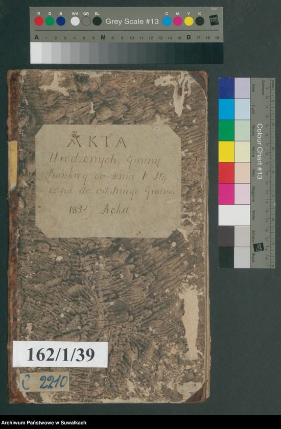image.from.unit.number "Akta Urodzonych gminy puńskiey od dnia 1 stycznia do ostatniego grudnia 1824 roku"