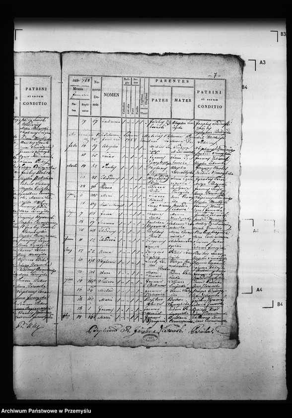 Obraz 11 z jednostki "[Kopie ksiąg metrykalnych parafii Ulicko (dekanat Niemirów)]"