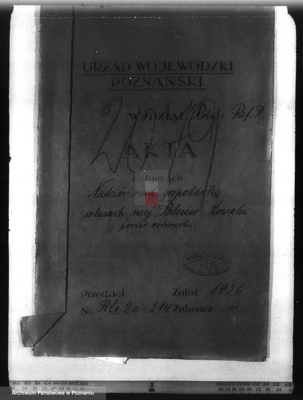 Obraz 4 z jednostki "Nadzór nad gospodarką w lasach majątku Billczew-Kowalew powiat obornicki"