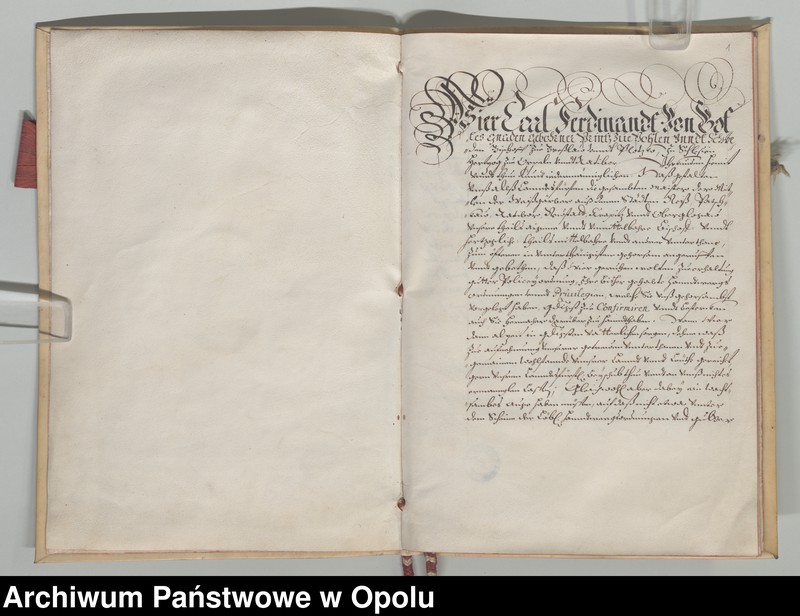 Obraz 5 z kolekcji "Futerał na dokumenty111"