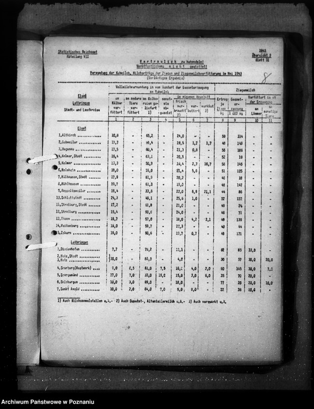 Obraz 12 z jednostki "Elsass - Lothringen"