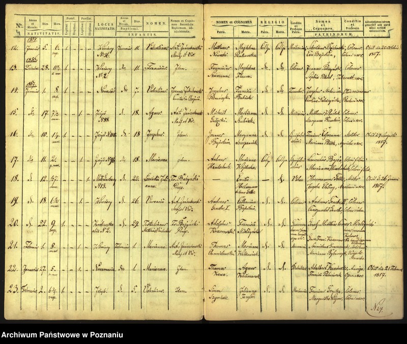 Obraz 5 z jednostki "Księga urodzin"