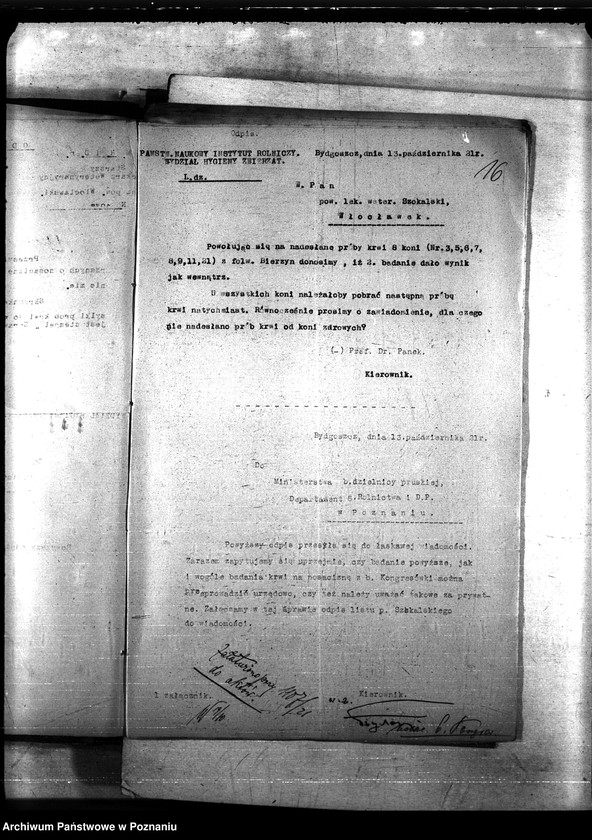 Obraz 20 z jednostki "Nosacizna - b. Kongresówka"