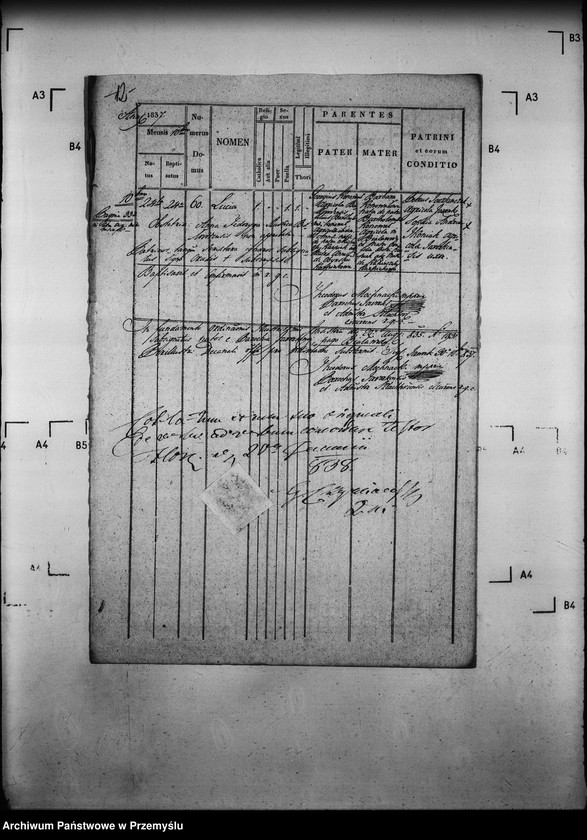 image.from.unit.number "[Kopie ksiąg metrykalnych parafii Jaworki z filiami Biała Woda, Czarna Woda (dekanat Muszyna)]"