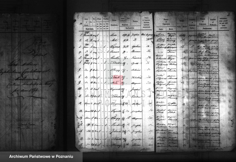 Obraz 2 z jednostki "Liber baptisatorum"