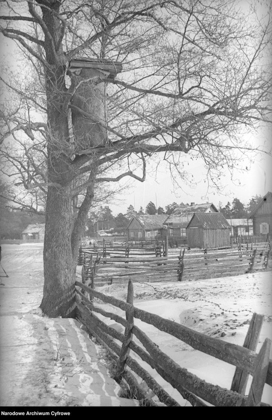 image.from.collection.number "Bartnictwo że Ho! Ho!111"