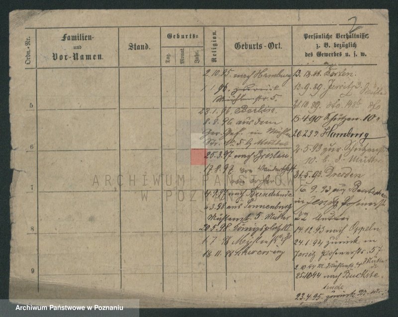 Obraz 7 z jednostki "Skrzypczak (żonaci - samotni mężczyźni)"