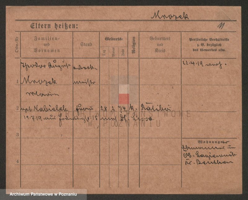 Obraz 11 z jednostki "Mrozek - Mucha"