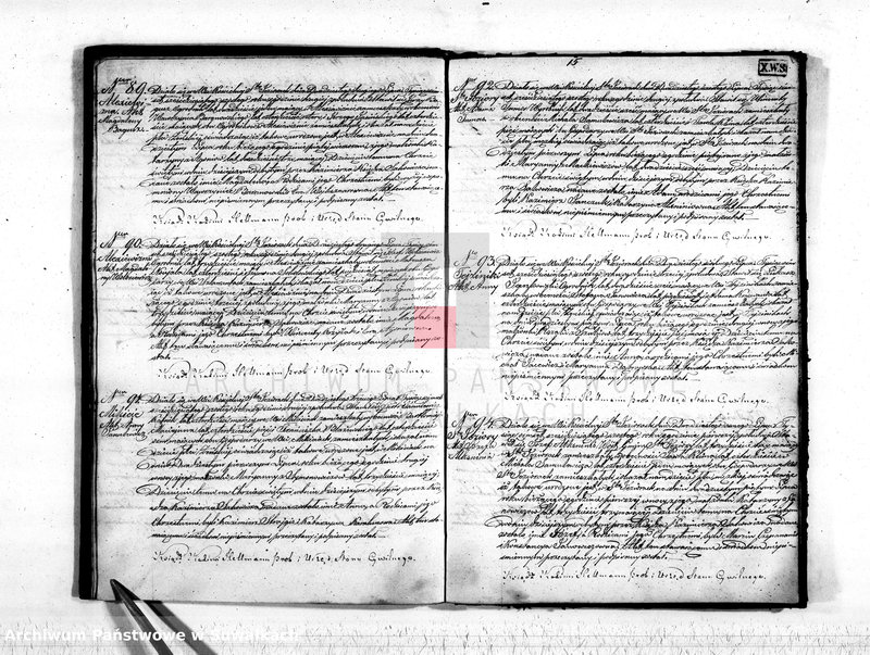 Obraz 17 z jednostki "Akta stanu cywilnego parafij Św. Jeziorskiej urodzonych, zaślubionych i umarłych z roku 1866"