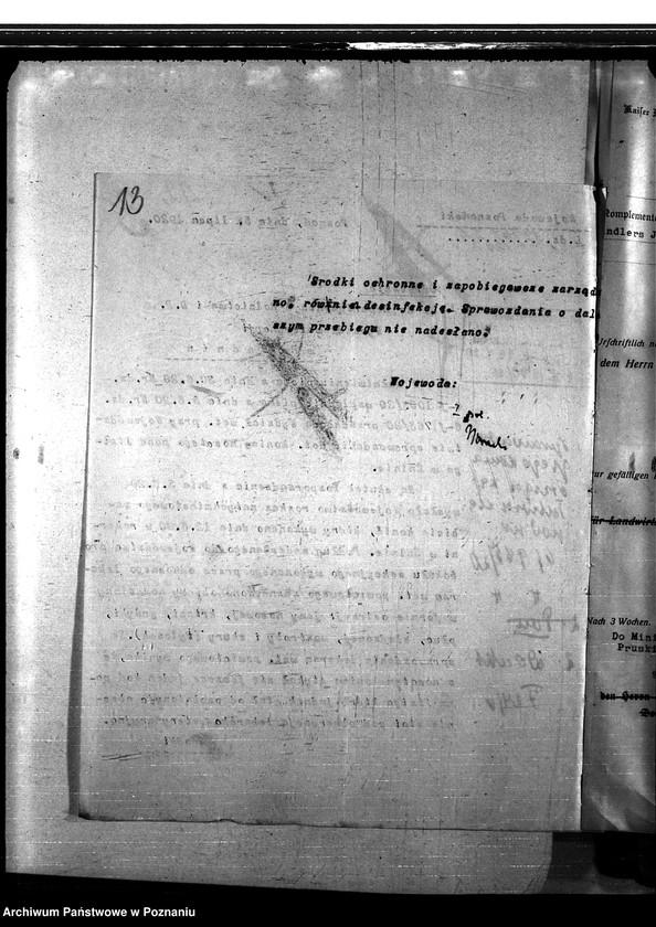 Obraz 17 z jednostki "Nosacizna - Żnin"