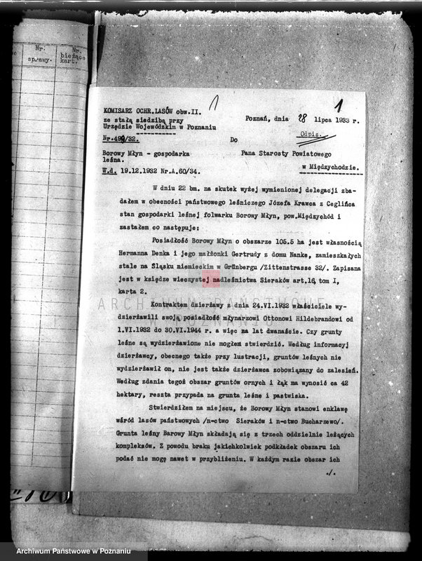 Obraz 5 z jednostki "Las majątku Borowy Młyn powiat międzychodzki"