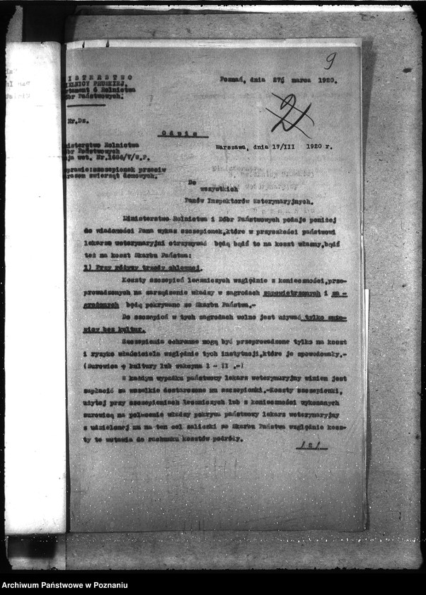 Obraz 13 z jednostki "Szczepionki"