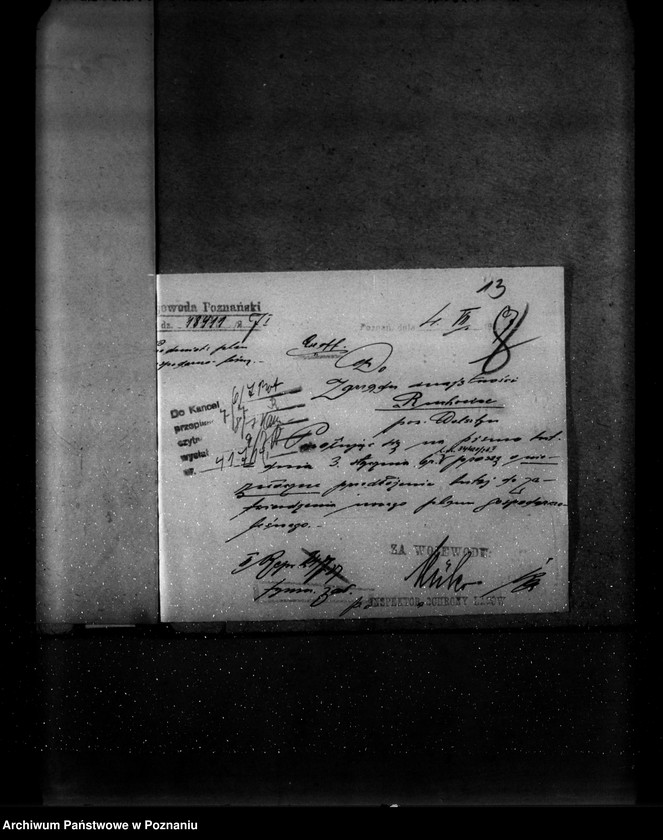 Obraz 17 z jednostki "Majętność leśna Ruchocice powiat wolsztyński"