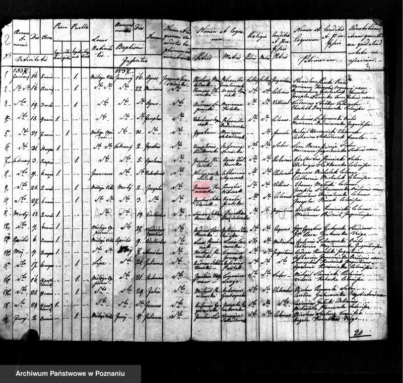 Obraz 2 z jednostki "Liber baptisatorum, copulatorum, mortuorum"