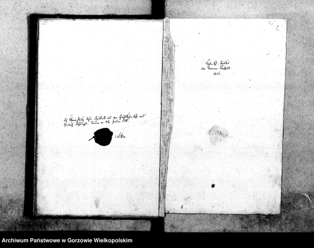 image.from.unit.number "Duplikate der Kirchenbücher von Tornow: Tornow (Tarnów), Ludwigsruh (Lubiszyn), Pyrehne (Pyrzany), Diedersdorf (Nowe Dzieduszyce), Charlottenhof (Sosny), Hopfenbruch (Chmieliniec), Fichtwerder (Świerkocin), Radorf (Radogoszcz)"