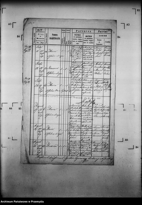 image.from.unit.number "[Kopie ksiąg metrykalnych parafii Jaworki z filiami Biała Woda, Czarna Woda (dekanat Muszyna)]"