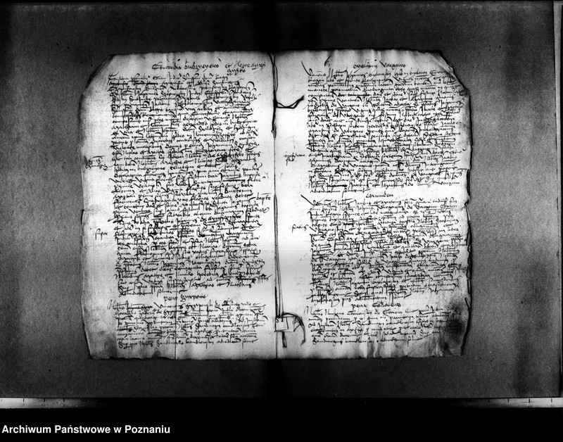 Obraz 11 z jednostki "Resignationes ,inscriptiones, relationes, decreta [protocollon]"