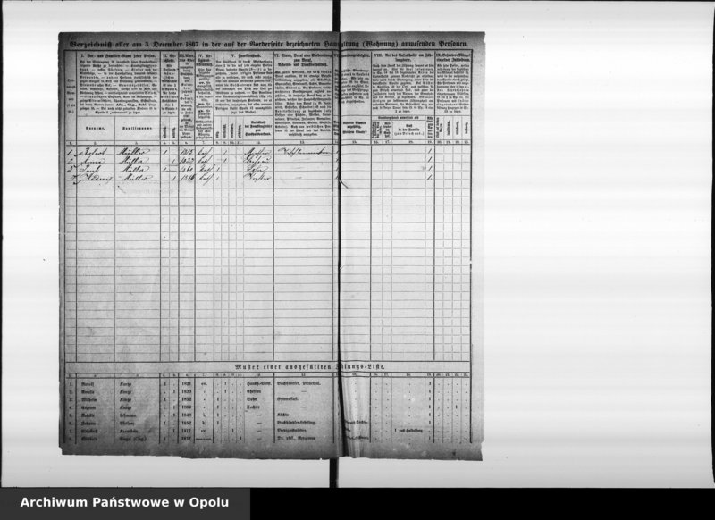Obraz 20 z jednostki "Zählbezirk 26 [Spis ludności, 1867]"
