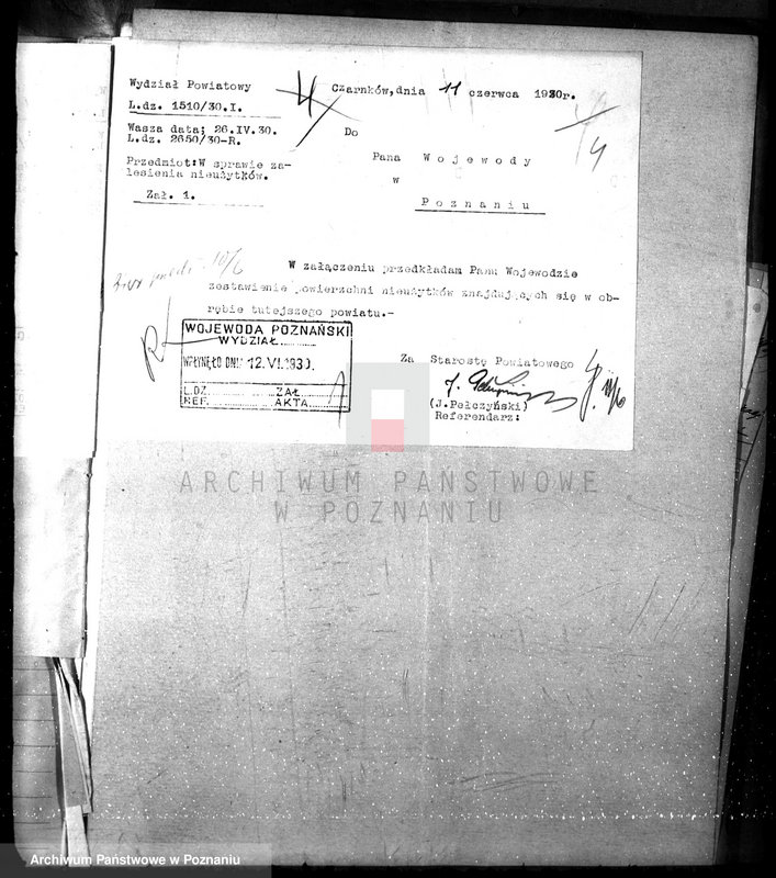 Obraz 8 z jednostki "Zalesianie nieużytków w powiecie czarnkowskim"