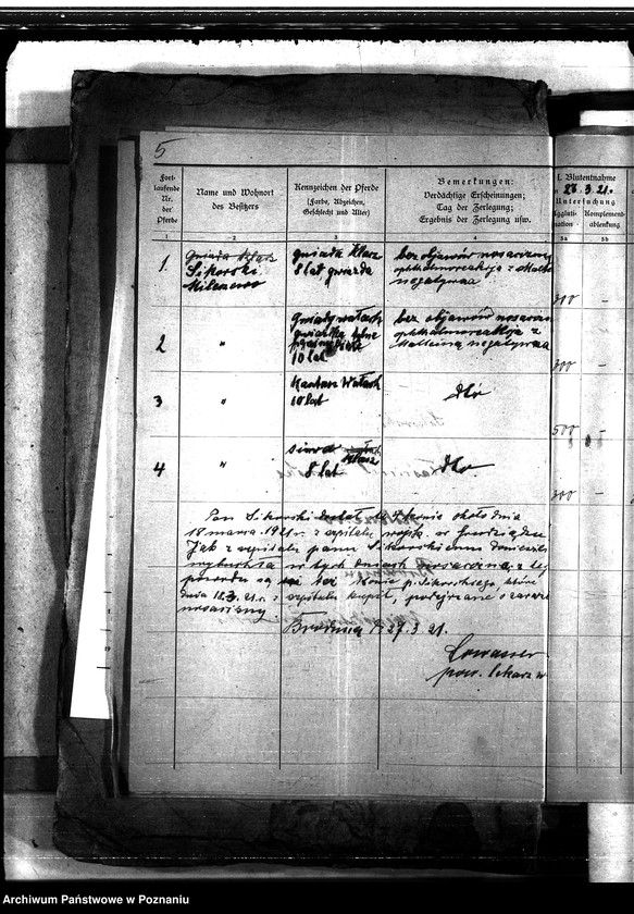 Obraz 9 z jednostki "Nosacizna - Brodnica"