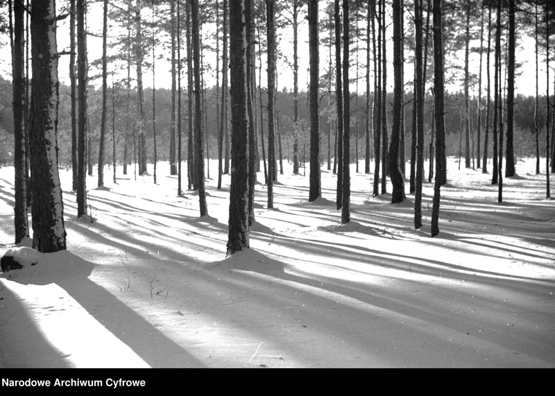 image.from.unit.number "Niemenczyn"