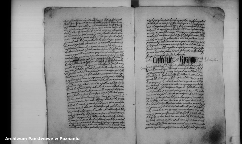 Obraz 11 z jednostki "Inscriptiones [inducta]"