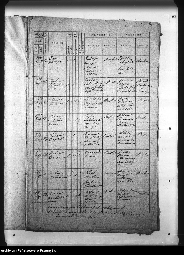 Obraz 17 z jednostki "[Kopie ksiąg metrykalnych parafii Brzegi (dekanat Sambor)]"