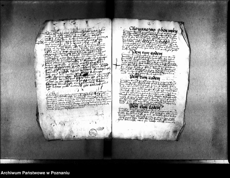 Obraz 9 z jednostki "Inscriptiones, relationes, decreta [inducta]"