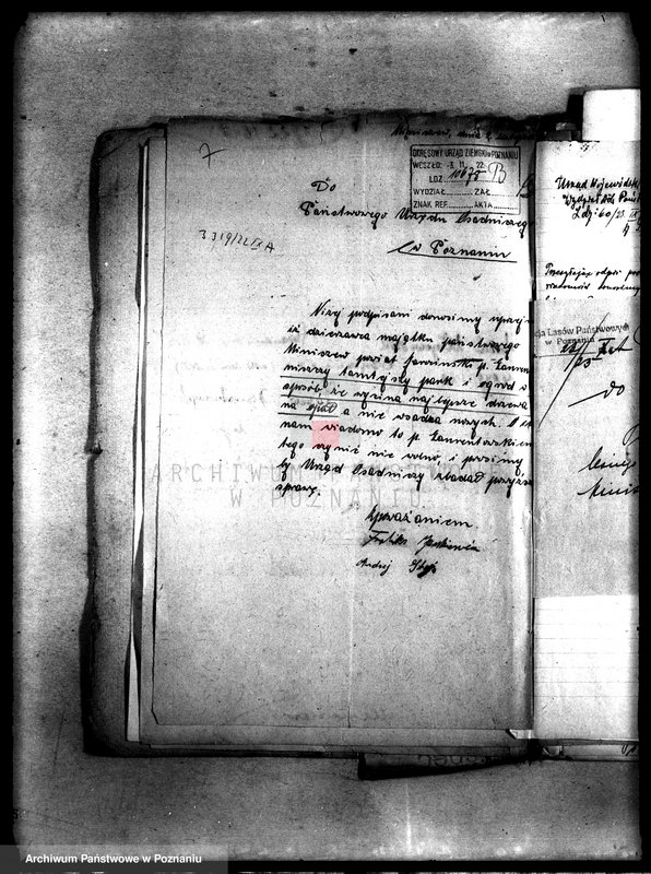 Obraz 11 z jednostki "Drzewostan w majętności państwowej Miniszew"