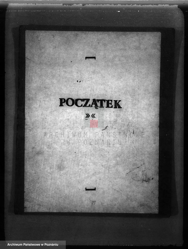 Obraz 3 z jednostki "Majętność leśna Niemierzewo w powiecie międzychodzkim"